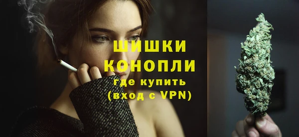 спиды Новозыбков